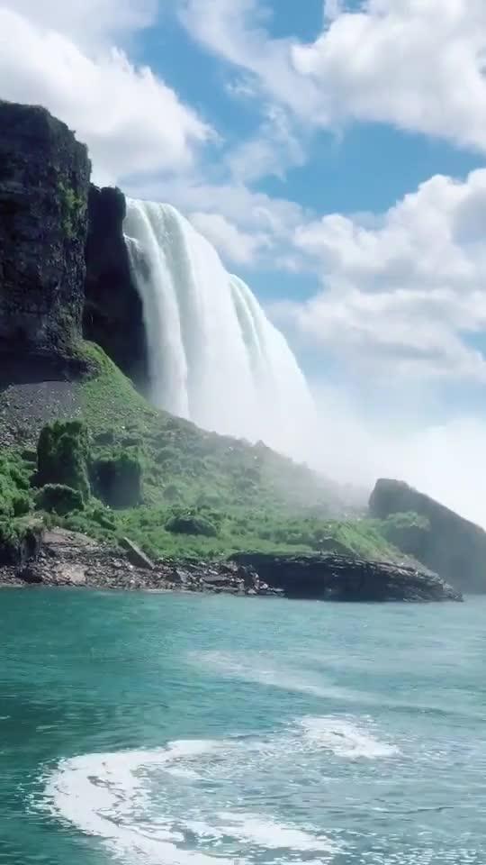 沪江开心词场