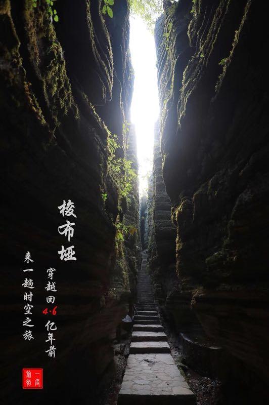 僵尸女友送月饼啦
