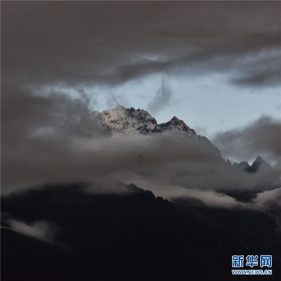 动物拼一拼