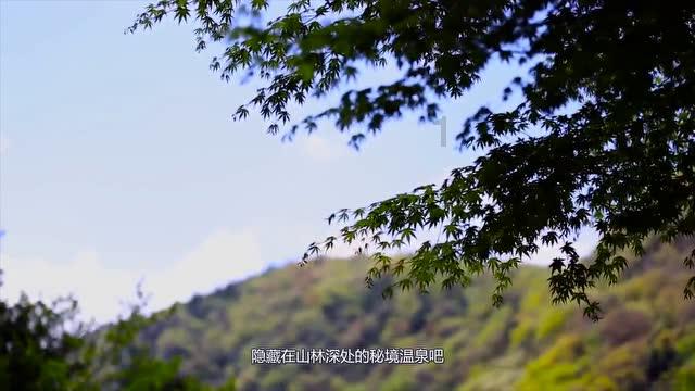 《瑞克和莫蒂:日漫版》发布41秒最新预览预告片