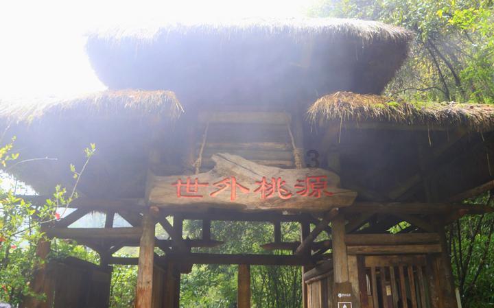 重生之星途璀璨