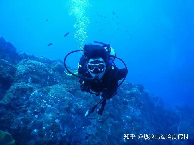 虫虫助手下载