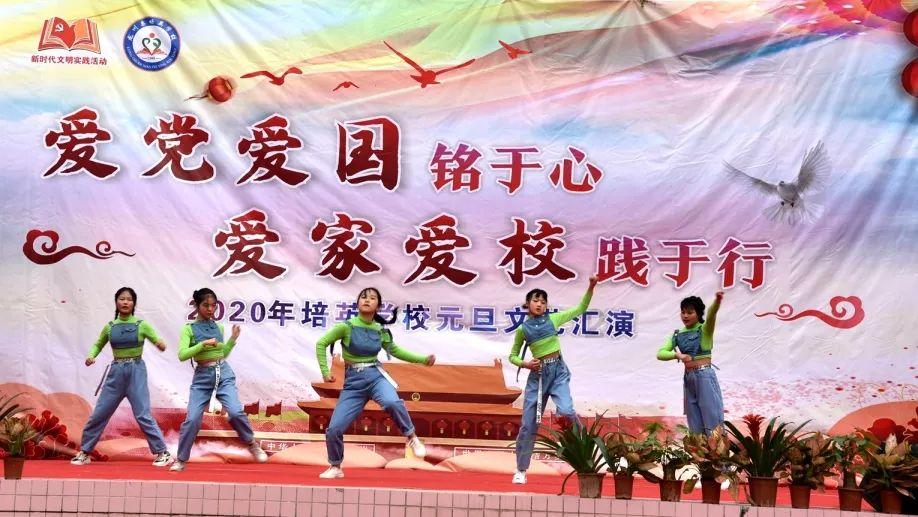 美妙森林找不同