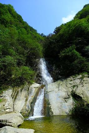 植物大战僵尸